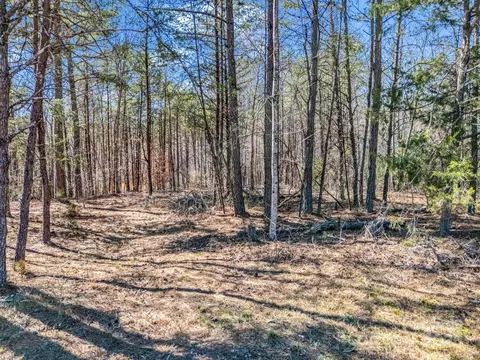 00 Petite Ct, Rutherfordton, NC 28139