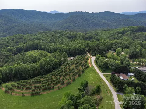 Other - 843 Deep Gap Loop Rd, Flat Rock, NC 28731 photo 15 of 15