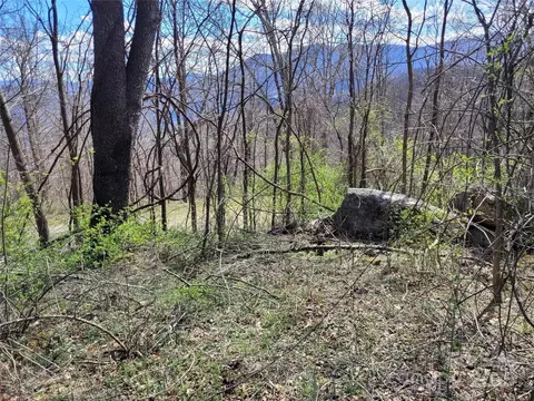 0 Purple Martin 22 Ln #22, Waynesville, NC 28785