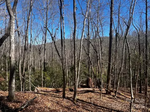 Cherrywood Lane, Pisgah Forest, NC 28768