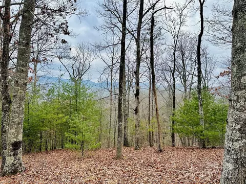 275 Raccoon 24 Run #24, Marshall, NC 28753