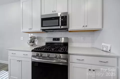7006 Everly Commons Ln, Tega Cay, SC 29708 photo 6