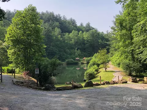 112 Buck Mountain Road #112, Purlear, NC 28665 photo 17