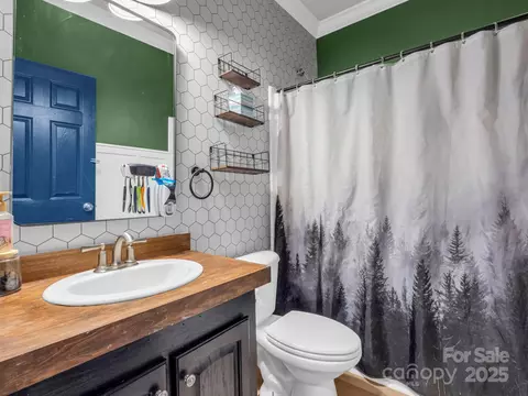 135 Dakota Hill Ln, Mill Spring, NC 28756 photo 23