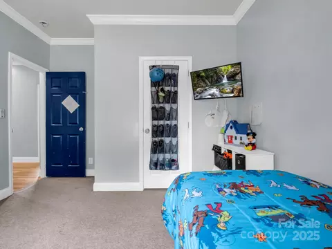 135 Dakota Hill Ln, Mill Spring, NC 28756 photo 22