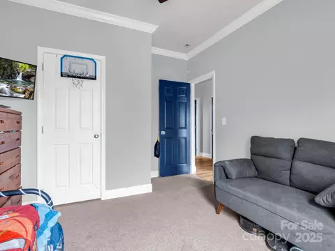135 Dakota Hill Ln, Mill Spring, NC 28756 photo 20