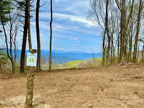 East Garden 18 Trail #18, Hendersonville, NC 28792
