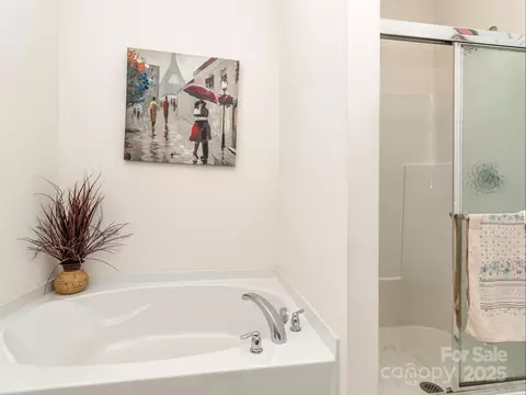Bath - 841 Platinum Dr, Fort Mill, SC 29708 photo 2 of 3