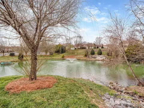 View/Area - 841 Platinum Dr, Fort Mill, SC 29708 photo 3 of 3