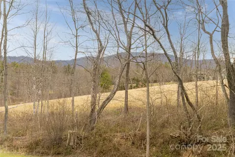 Other - 19 Graveyard Rd, Fairview, NC 28730 photo 1 of 12