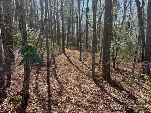 Panther Ridge Road, Lake Toxaway, NC 28747
