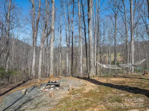 55 Clover Trl, Marshall, NC 28753 photo 34