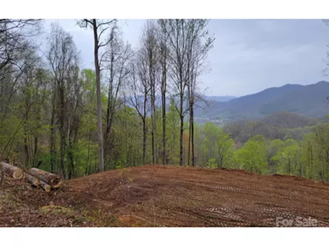 00 Mountain Lake 330 Dr #330, Waynesville, NC 28785