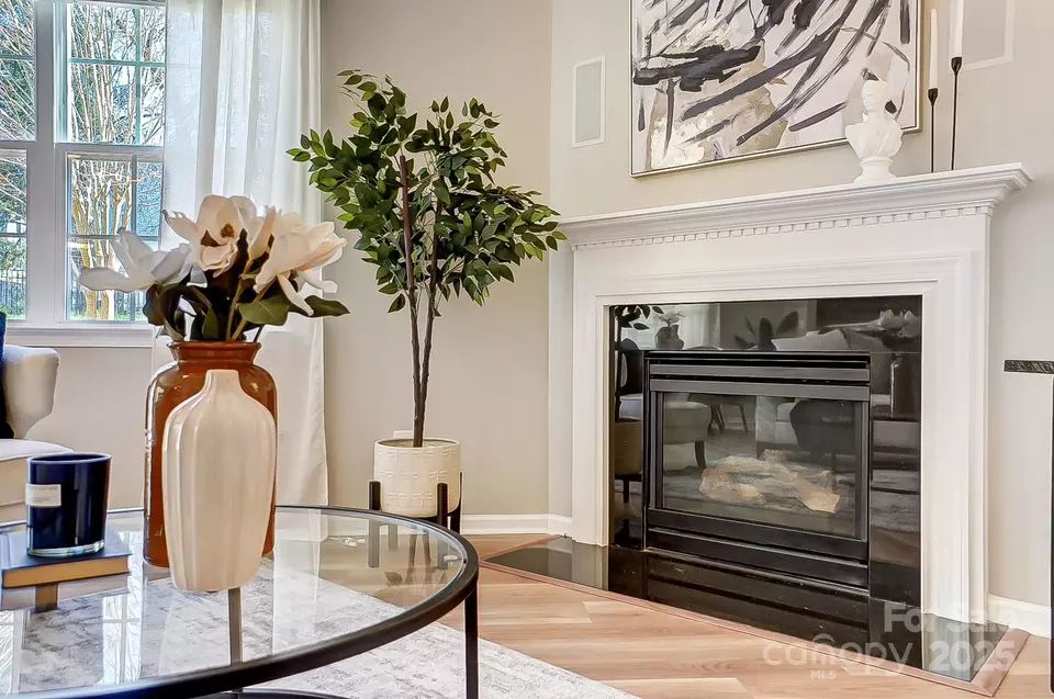 Living - 10153 Elizabeth Crest Ln, Charlotte, NC 28277 photo 4 of 5