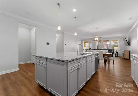 809 Cadence Park Pl, Fort Mill, SC 29708 photo 4