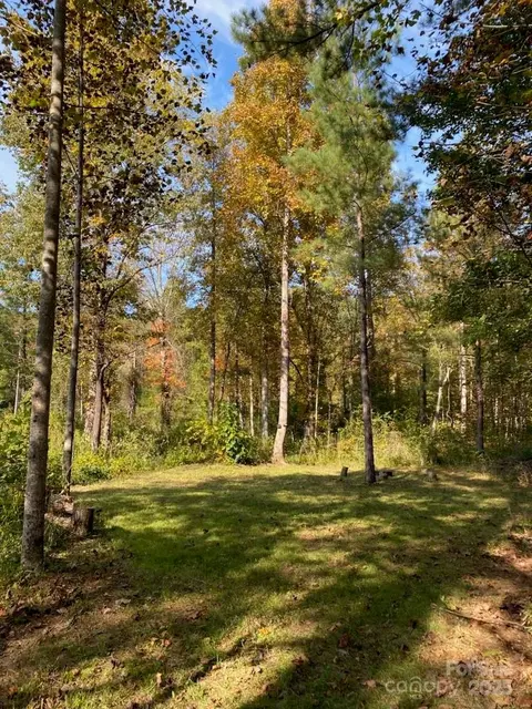 0 Pine Needle Ln, Bostic, NC 28018 photo 4