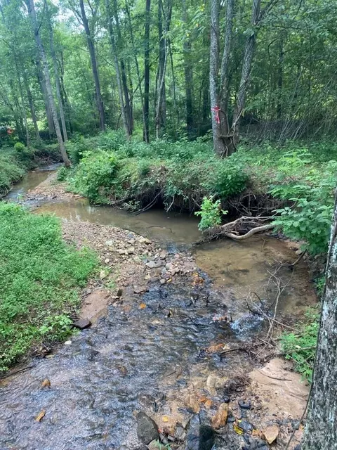 0 Pine Needle Ln, Bostic, NC 28018 photo 2