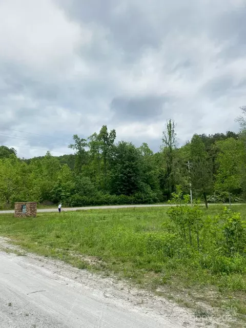 0 Pine Needle Ln, Bostic, NC 28018 photo 3