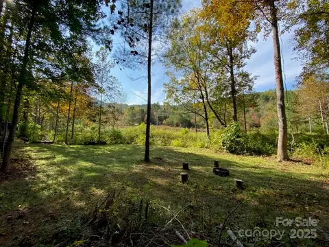 0 Pine Needle Ln, Bostic, NC 28018 photo 5