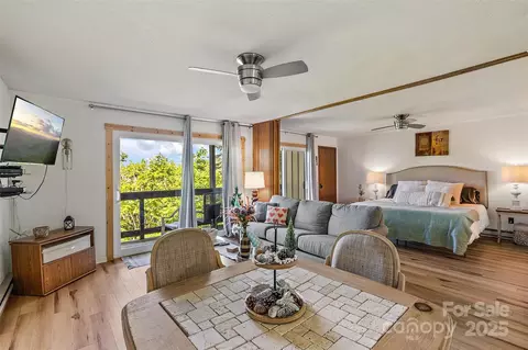 103 Upper Holiday Ln, Beech Mountain, NC 28604