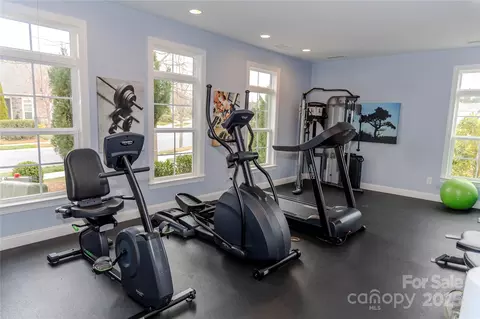 16116 Lakeside Loop Ln, Cornelius, NC 28031 photo 25
