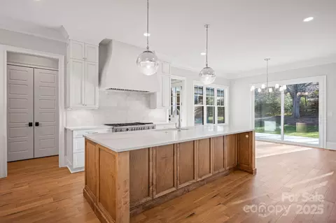 Other - 810 Martingale Ln, Davidson, NC 28036 photo 3 of 14
