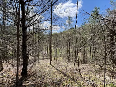 999 Freedom Ln, Hot Springs, NC 28743