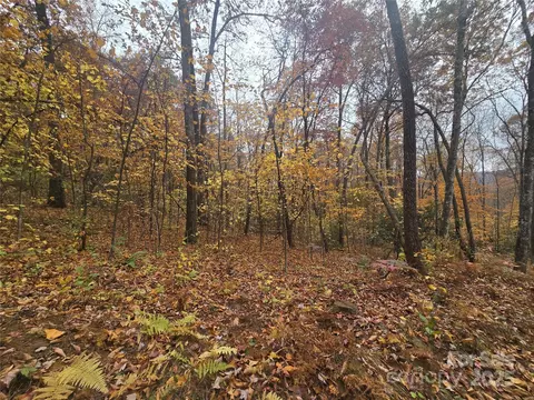 232 Cabe Rd, Sylva, NC 28779 photo 6