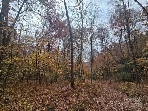 232 Cabe Rd, Sylva, NC 28779 photo 5