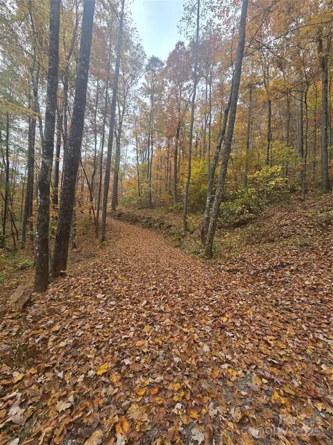232 Cabe Rd, Sylva, NC 28779 photo 12