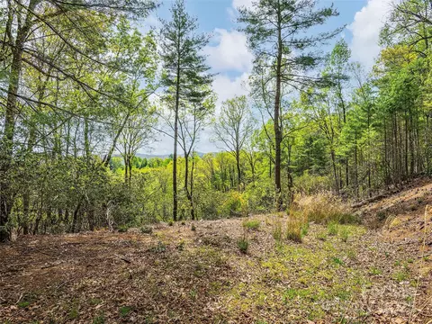 Winterberry Drive, Hendersonville, NC 28739