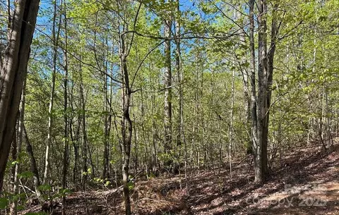 Deer Crossing Drive, Marion, NC 28752