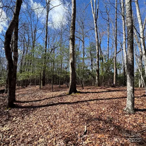 Kentwood Lane, Pisgah Forest, NC 28768