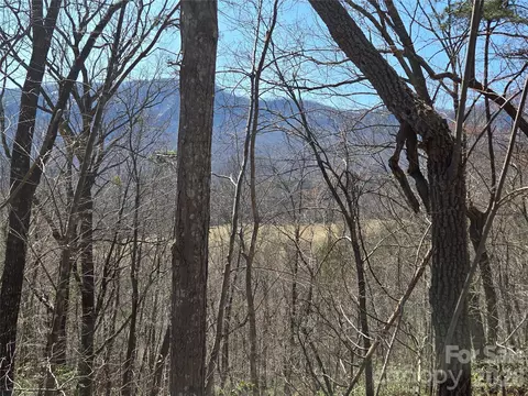 Banjo Court, Lake Lure, NC 28746