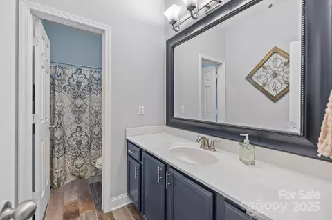 9004 Cebu Ct, Fort Mill, SC 29708 photo 24