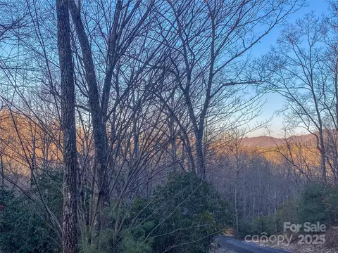 Ridge Trail Drive, Balsam Grove, NC 28708