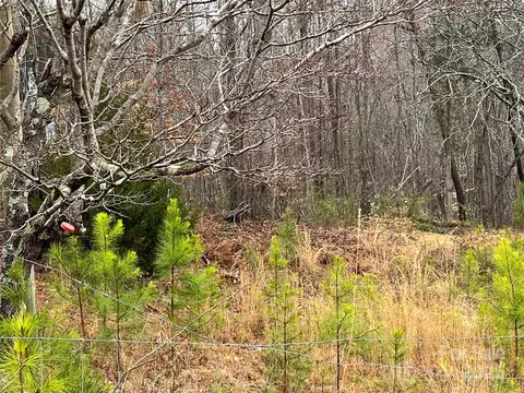 1217 Freeman Rd, Bostic, NC 28018 photo 9