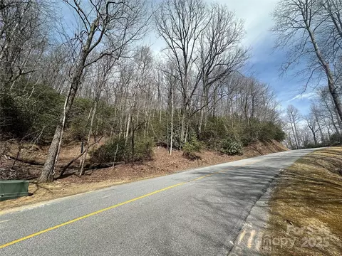 Connestee Trail, Brevard, NC 28712