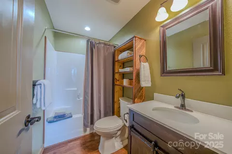 Bath - 169 Duck Pond Dr, Marshall, NC 28753 photo 3 of 4