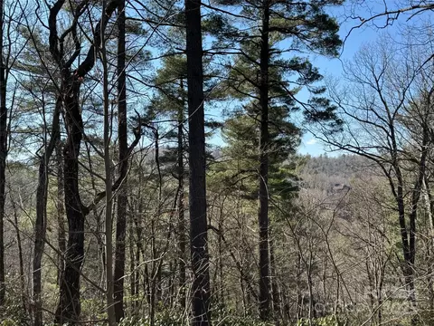 321 Silent Rise 37 Ln #37, Flat Rock, NC 28731