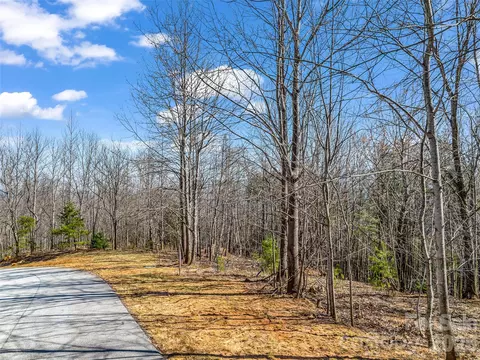 190 Cherry Hl, Mill Spring, NC 28756 photo 9
