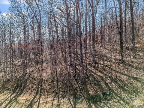 190 Cherry Hl, Mill Spring, NC 28756 photo 5