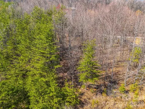190 Cherry Hl, Mill Spring, NC 28756 photo 12