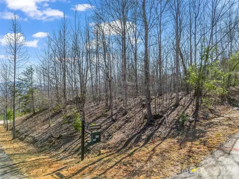 190 Cherry Hl, Mill Spring, NC 28756 photo 6