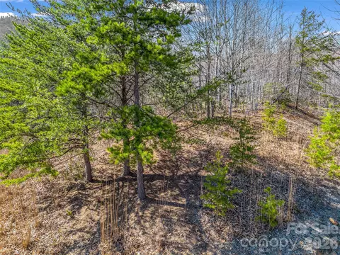 190 Cherry Hl, Mill Spring, NC 28756 photo 10