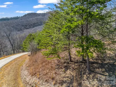 190 Cherry Hl, Mill Spring, NC 28756 photo 11