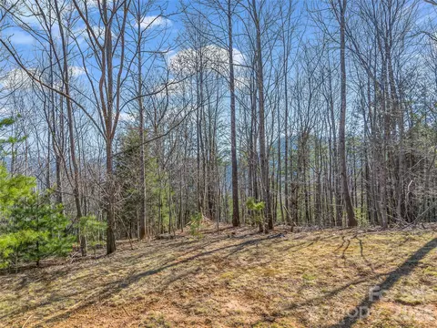 190 Cherry Hl, Mill Spring, NC 28756 photo 7