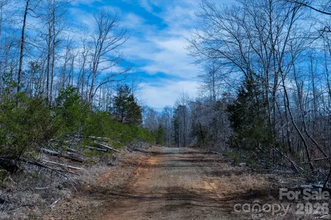 99999 Abrams Moore Rd, Mill Spring, NC 28756 photo 19