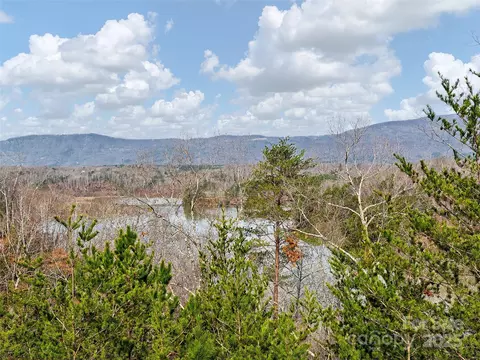 63 Lake Adger Road #63, Mill Spring, NC 28756 photo 4