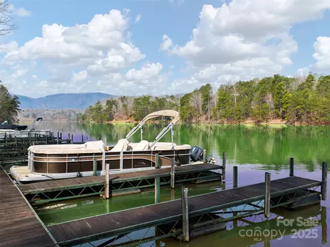 63 Lake Adger Road #63, Mill Spring, NC 28756 photo 11